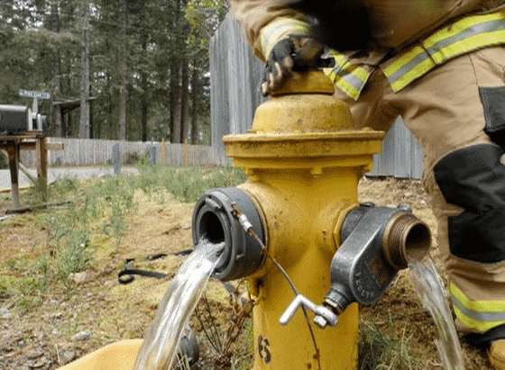 FF Basics Promo 2021 Update FOR EMAIL